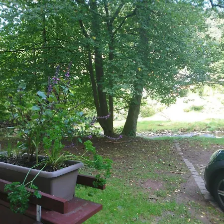 Auszeit-Mit-Pool-Wohnung-85-Qm-Sehr-Zentral-Gelegen Todtmoos